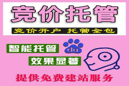 百度推广公司案例展示：从零到一的蜕变之路